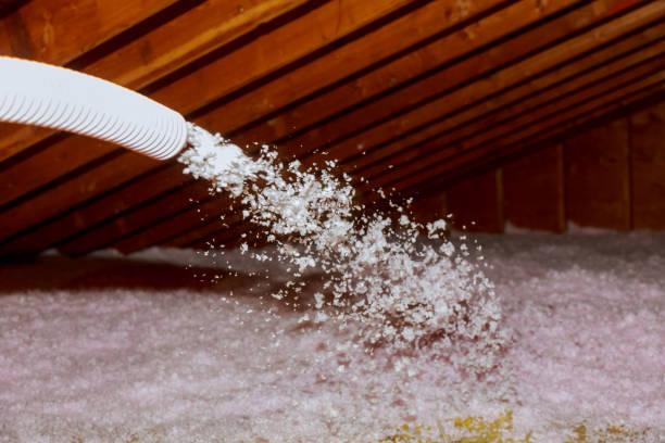 Best Types of Insulation in , MT