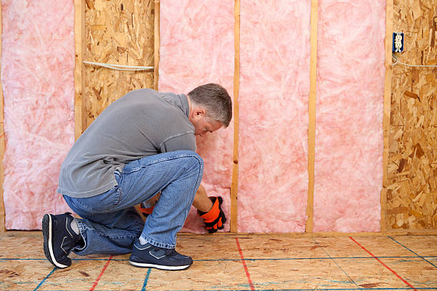 Best Insulation Installation Services in , MT